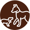Icône conflits